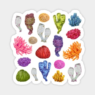 Sea Sponges - Deep sea art Magnet