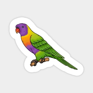 Rainbow lorikeet bird cartoon illustration Magnet
