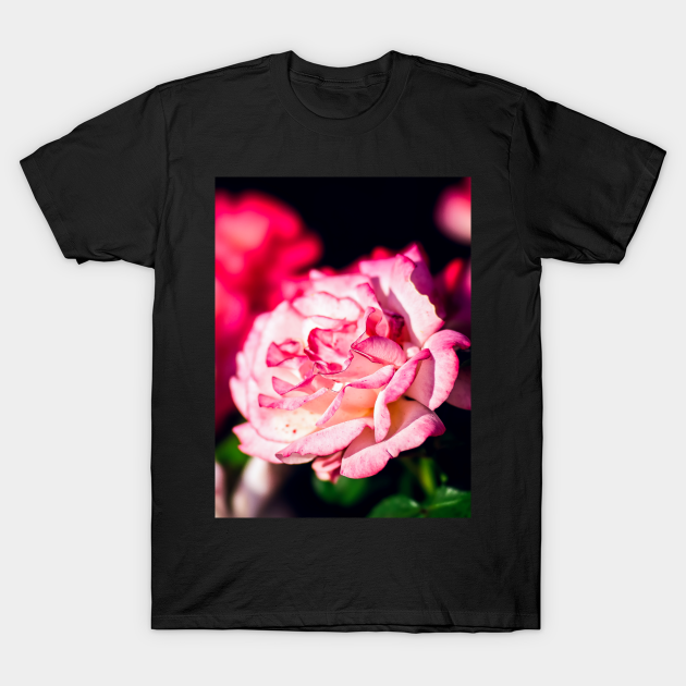 Discover Beautiful Rose Flowers - Pink Rose - T-Shirt