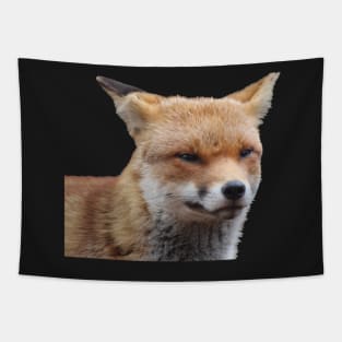 Fox Tapestry