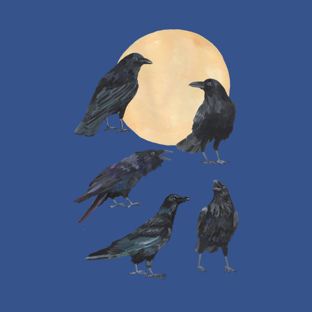 Discover Ravens - Ravens - T-Shirt