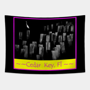 cedar key florida Tapestry