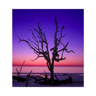 Purple Sunrise T-Shirt