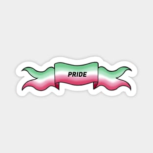 abrosexual pride banner Magnet