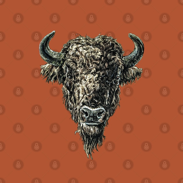 Bison head by SakalDesign