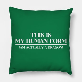 Hidden Dragon Pillow