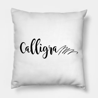 Calligraphy Fail Pillow