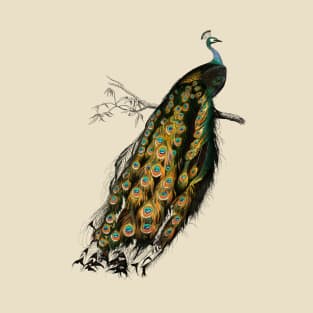 Vintage indian peafowl bird-animalia clothing T-Shirt