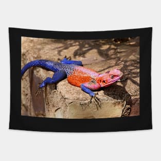 East African Rainbow Agama, Male Tapestry