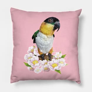 caique Pillow