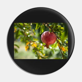 Postcard with Pomegranate - the symbol of prosperity and life. Pin