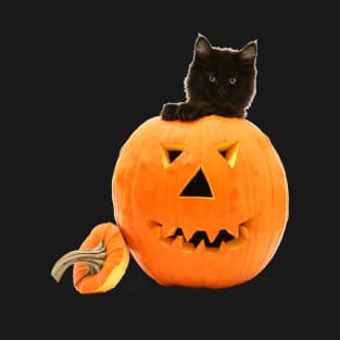 Black Cat Inside a Halloween Pumpkin T-Shirt