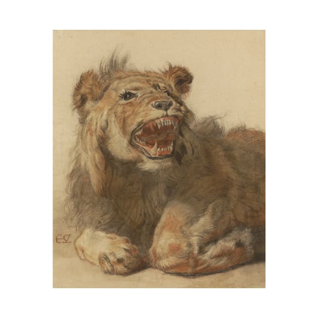 A Lion Snarling by Cornelis Saftleven by Classic Art Stall