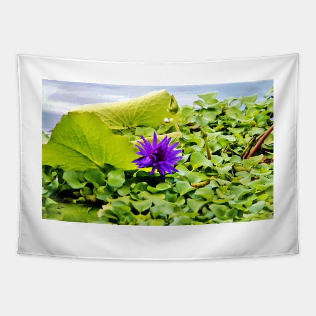 Tropical Purple Flower Tapestry by Cynthia48