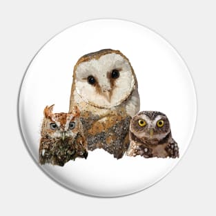 Scops owl, Little Owl and Owl Pin