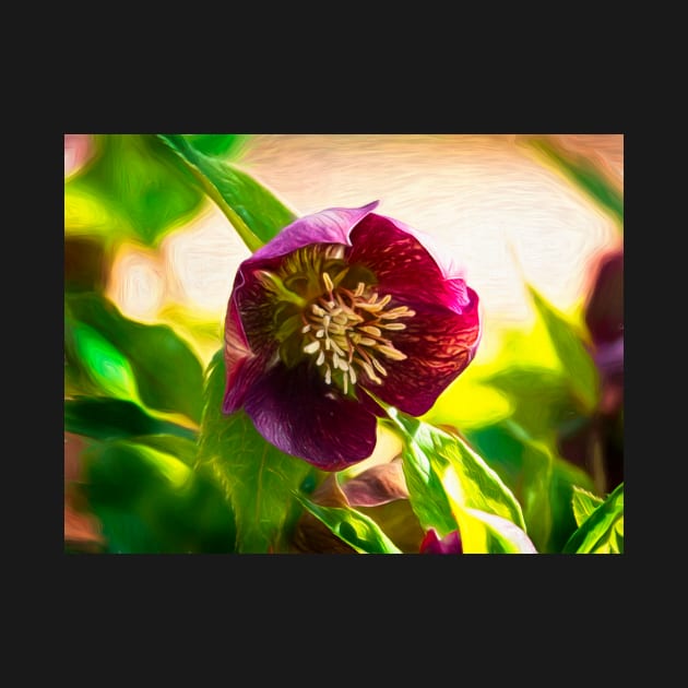 Hellebore Melt by EileenMcVey