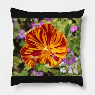 Morning Glory Pillow