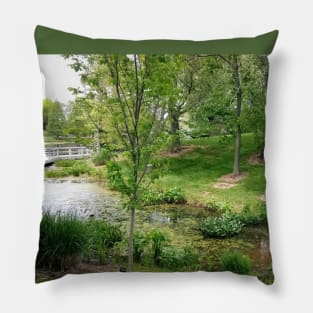 Pleasant Woodland Scene Pillow