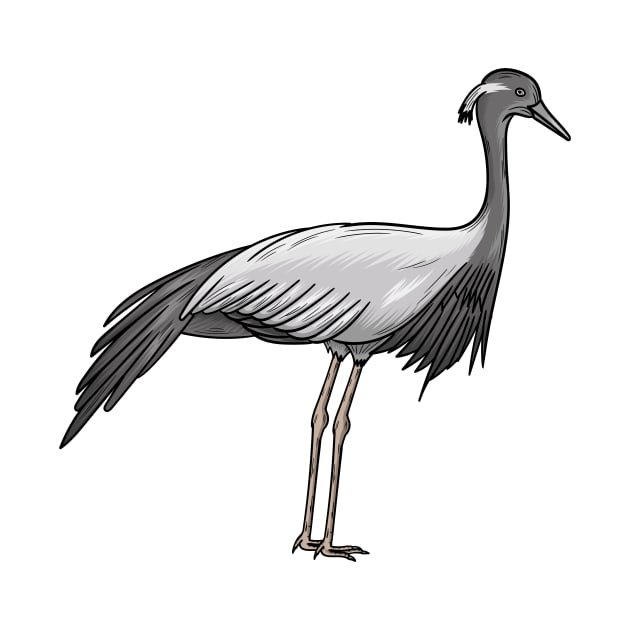 Demoiselle crane bird cartoon illustration by Cartoons of fun