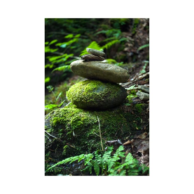 Balancing Rocks by srwdesign