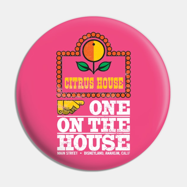 Main Street Citrus House 1 Pin by BurningSettlersCabin