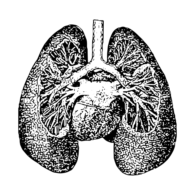 Anatomical Lungs by Beth Thompson Art