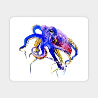 Ocotpus Blue, Gold aquatic Beach Octopus design Magnet