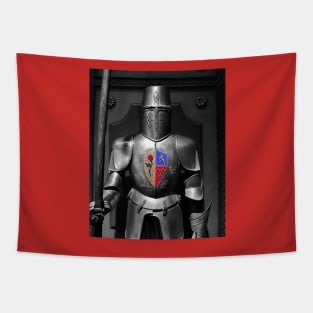 Knight of the Rose Tapestry