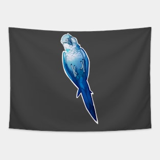 Playful Blue Spix Tapestry