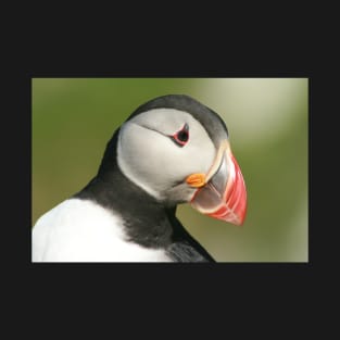 Posing Puffin II T-Shirt