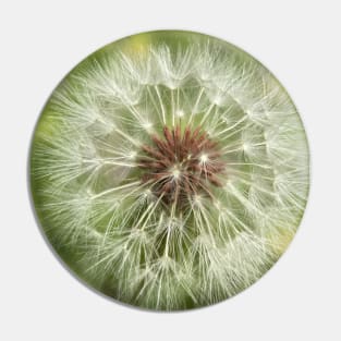 Dandelion seed ball Pin