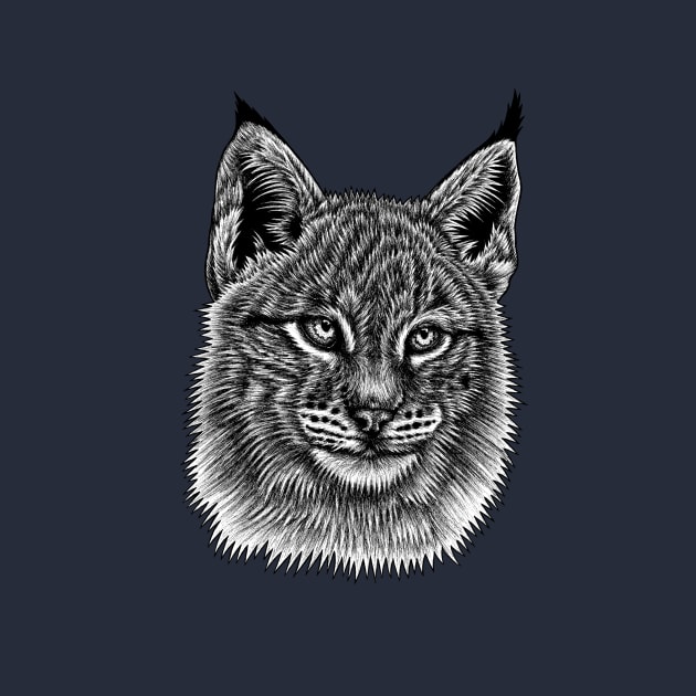 Lynx cat kitten by lorendowding