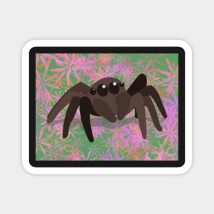 Jumping Spider Magnet