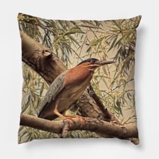 Green Heron in Willow Tree Pillow