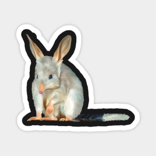 Australian Greater Bilby artwork. Cute little Bilby realistically painted. Australian endangered animal. Magnet