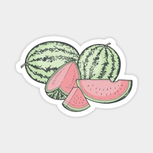 Watermelon Sketches Magnet