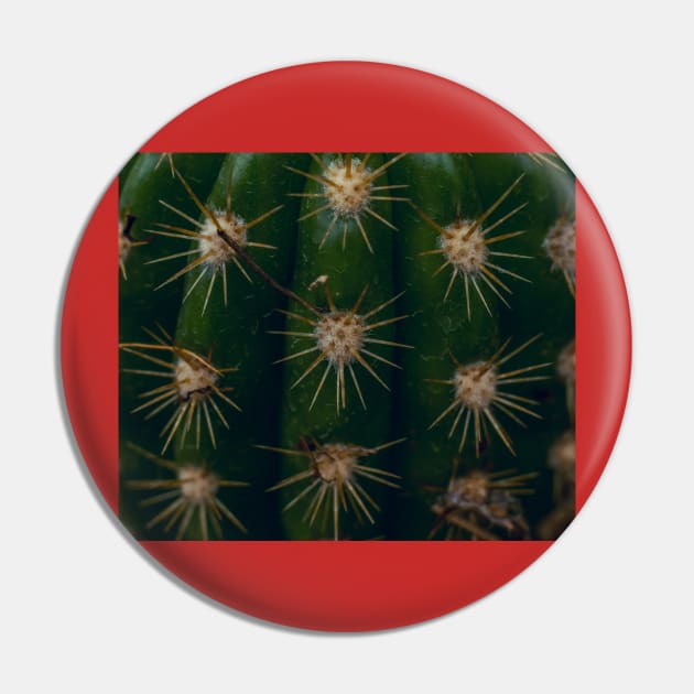 Red cactus Pin by daghlashassan