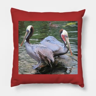 Two pelicans Pillow