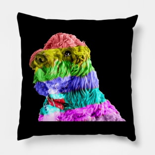 Rainbow Cockapoo 2 Pillow