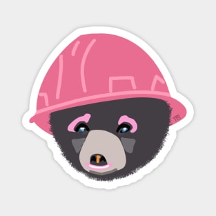 Funny Bear Cub in a Pink Hard Hat Girl Apprentice Construction Humor Magnet