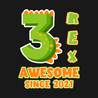 3rd Birthday Dinosaurs Themed Bday Gift For Boys Kids T-Shirt