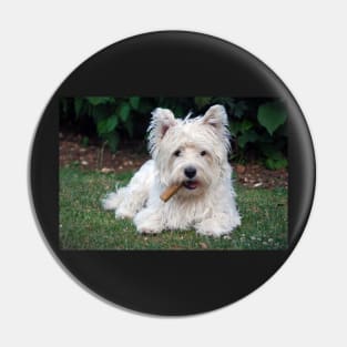 Westie Pin