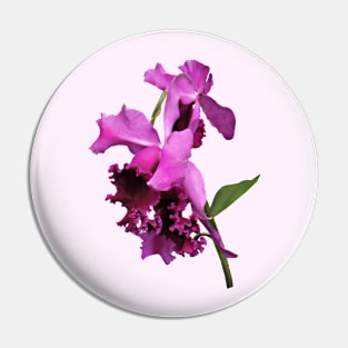 Orchid Harold Carls Pin