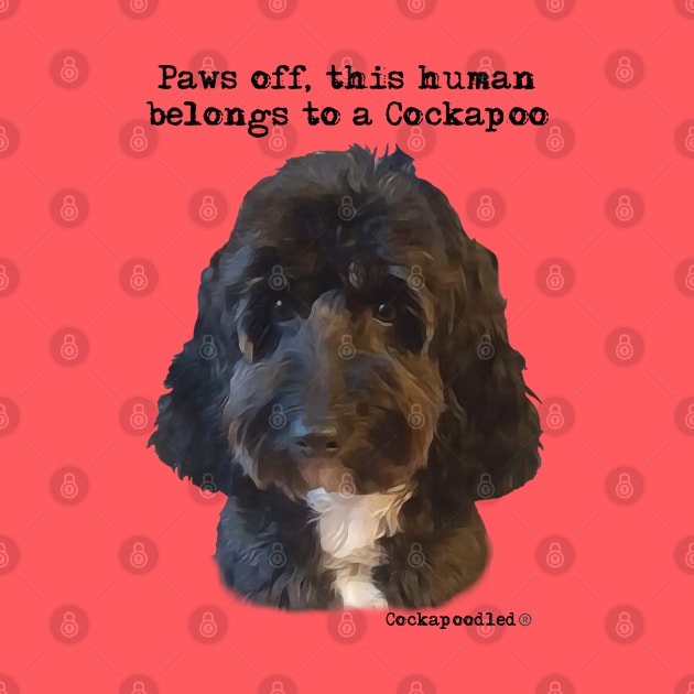 Cockapoo Dog by WoofnDoodle 