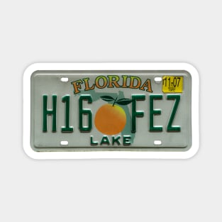 Lake County Florida License Plate Magnet