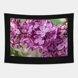 Lilac Tapestry