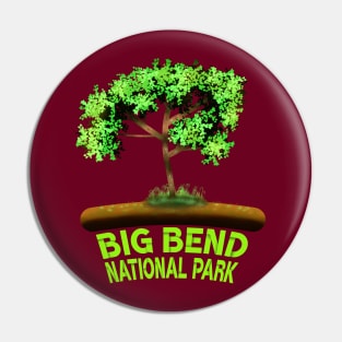 Big Bend National Park Pin