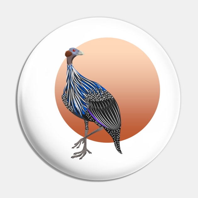 Vulturine guineafowl Pin by Zolinstudio