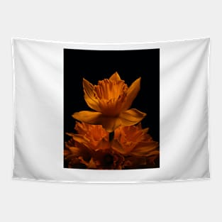 Isolated Dandelion Tapestry