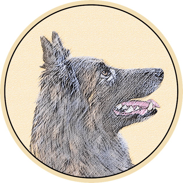 Belgian Tervuren Kids T-Shirt by Alpen Designs